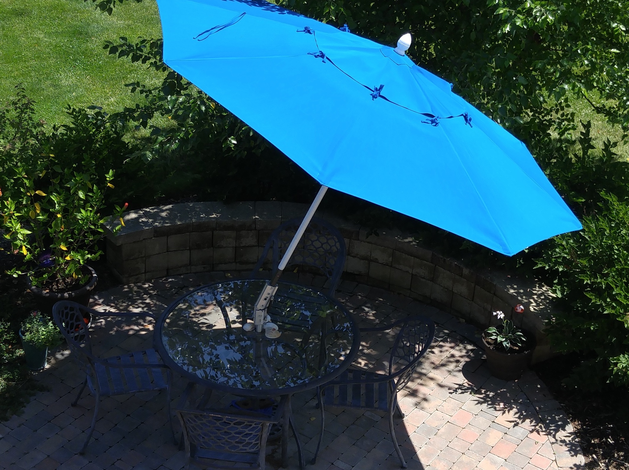 Great Umbrella Shade